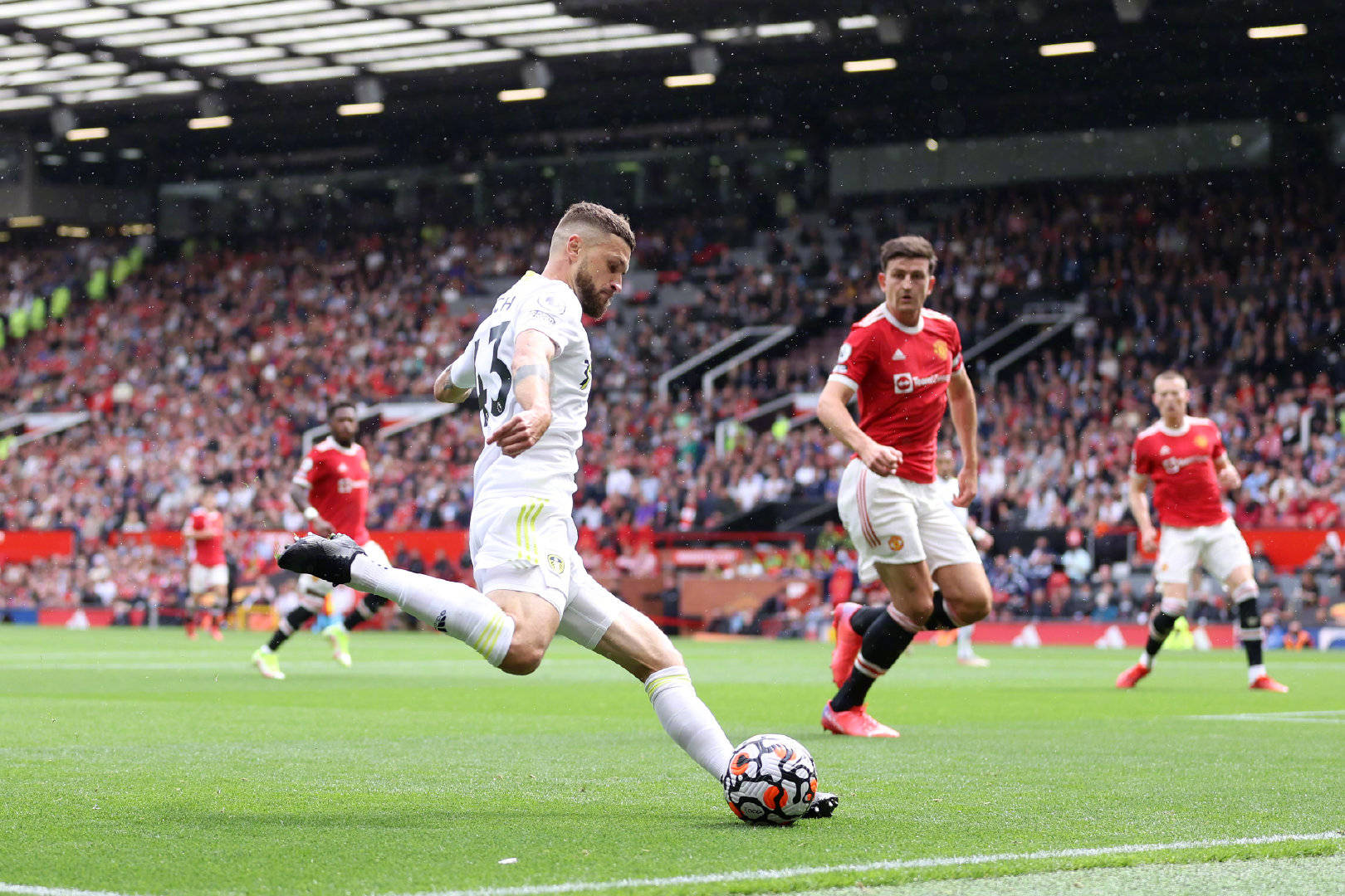 角色被精心 角色被精心